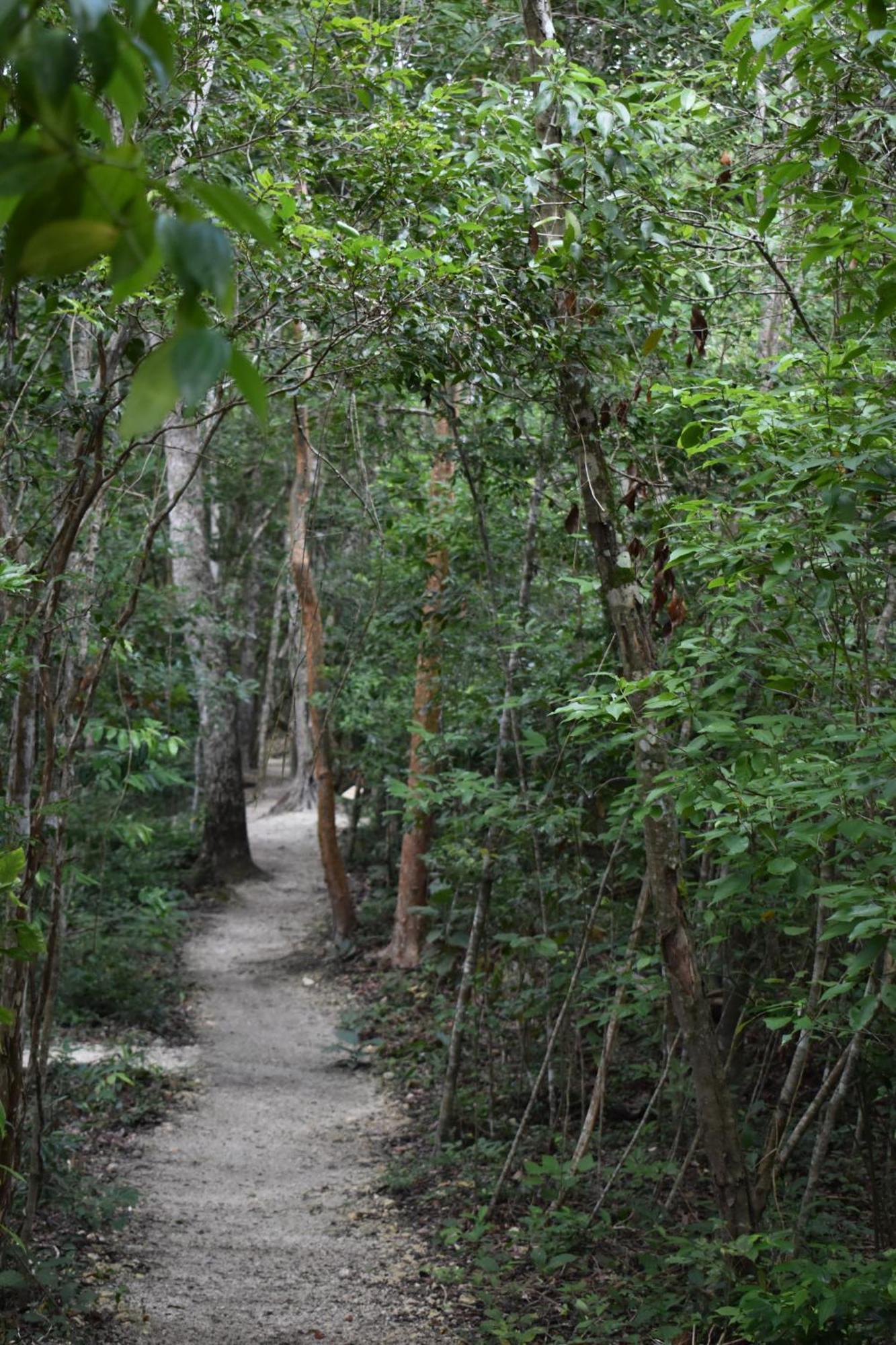 Eco Aldea Kinich Ahau Villa Xpujil Dış mekan fotoğraf