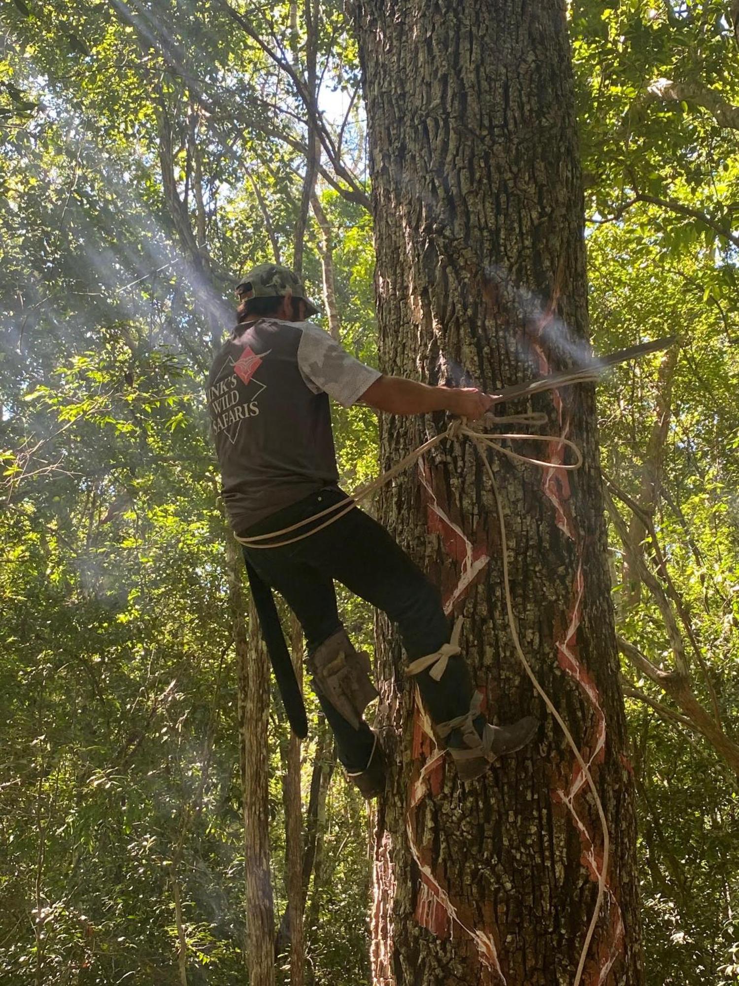 Eco Aldea Kinich Ahau Villa Xpujil Dış mekan fotoğraf